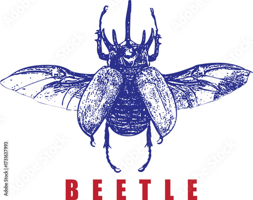 Flying Beetle Illustration with Wings Spread. Blue Insect Engraving Style. Red Text Graphic, High Contrast Vintage T-Shirt Design. Entomology Art, Isolated.