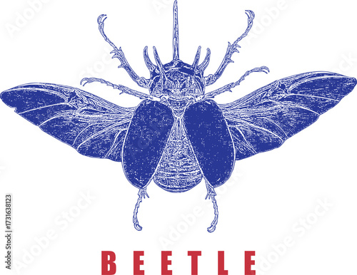 Blue Stag Beetle Stipple Style Illustration. Red Text Graphic. High Contrast Vintage Insect Art. Entomology, Nature, Bug Design. Isolated on White.