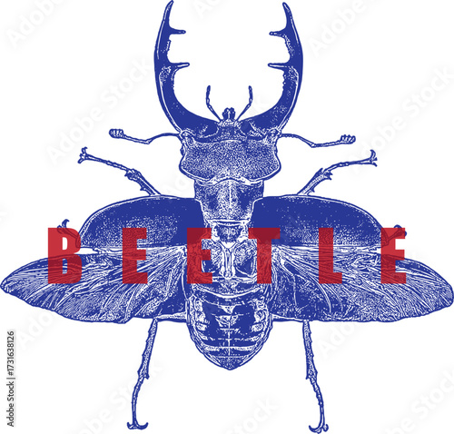 Majestic Hercules Beetle Long Horn Stipple Illustration. Blue Insect Graphic, Red Text. Vintage Entomology Art, High Contrast Design. Isolated on White.