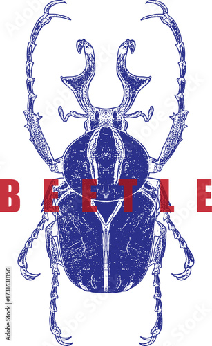 Giant Stag Beetle Illustration. Blue Insect Engraving Style with Large Mandibles. High Contrast Vintage Art, Red Text Graphic for T-Shirt Design. Entomology, Lucanus. Isolated.