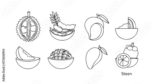 Collection of exotic tropical fruits durian mango and lychee in a simple silhouette style