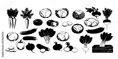 vegetable icon set. agriculture, organic food and harvest symbols. isolated vector images
