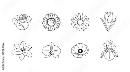 Collection of eight distinct floral outlines in a minimalist silhouette style