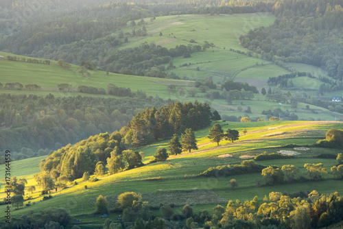 The green hills of the Low Beskids covered with solitary trees and forest at sunrise.
