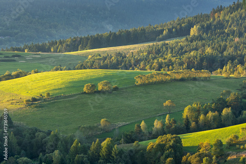The green hills of the Low Beskids covered with solitary trees and forest at sunrise.
