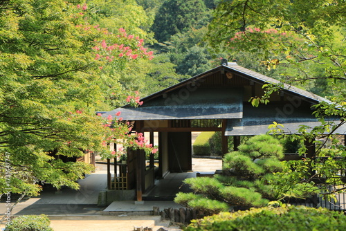 古民家の前に咲く赤いサルスベリの花