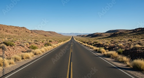 Open road perspective through desert landscape with clear blue sky horizon and central perspective vanishing point