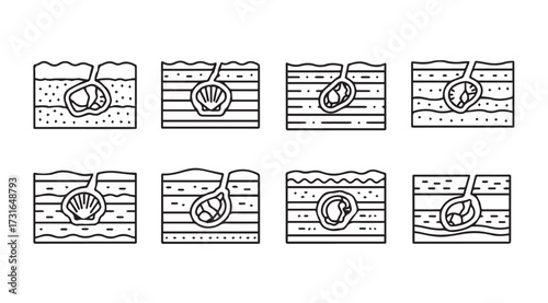 Diagrams illustrating stages of hair follicle growth and development silhouette