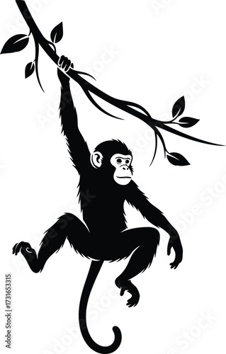 Monkey or chimpanzee hanging on a tree branch silhouette, wild animal of the jungle, forest inhabitants black and white vector illustration.
