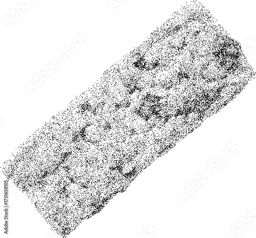 Abstract Black and White Pointillist Texture of a Surface