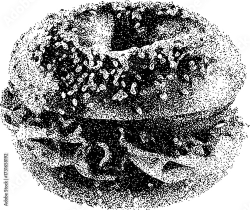 Abstract Black and White Stippled Texture of Organic Forms