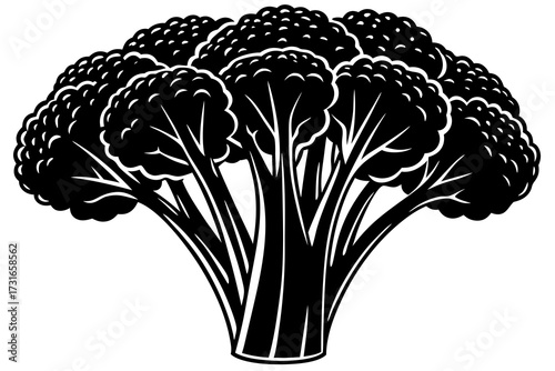 Healthy broccoli vegetable