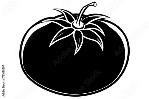 Tomato vector illustration