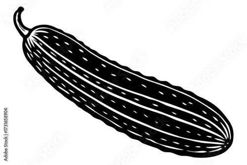 cucumber vegetable