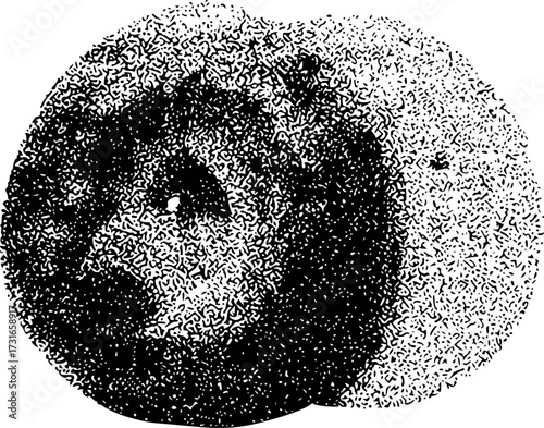 Abstract Stippled Artwork of a Face or Celestial Body