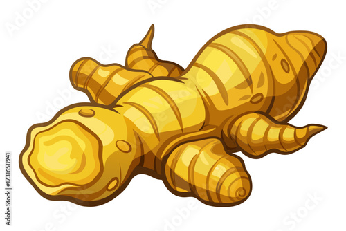 spicy fragrant ginger