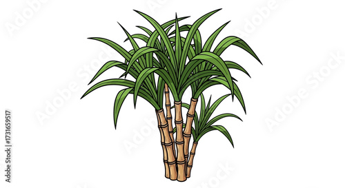 Illustration of a vibrant sugarcane plant showcasing its stalks and lush green leaves