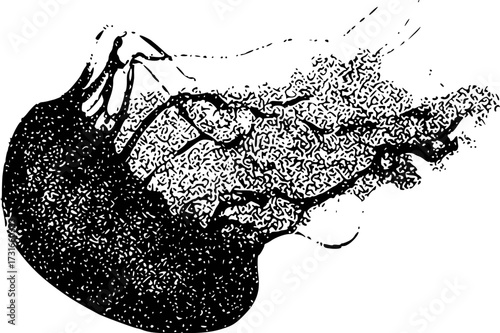 Stylized Black and White Illustration of a Jellyfish with Tentacles and Bell