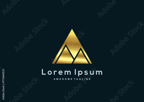 Luxury Company gold color logo template