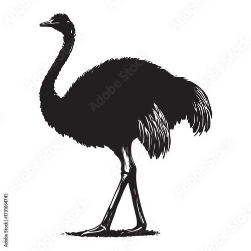 Silhouette of an ostrich standing on a white background, showcasing its long neck and feathered body on transparent background 