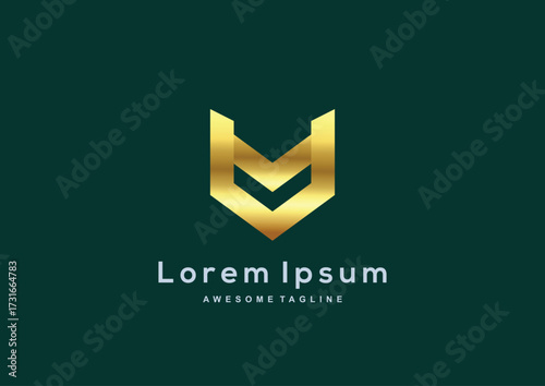 Luxury Company gold color logo template