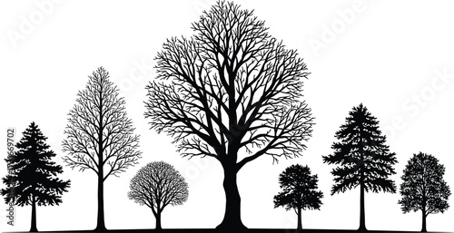 PrintBlack and white tree silhouettes, diverse tree species illustration, coniferous and deciduous trees, forest nature design, botanical art, environmental awareness