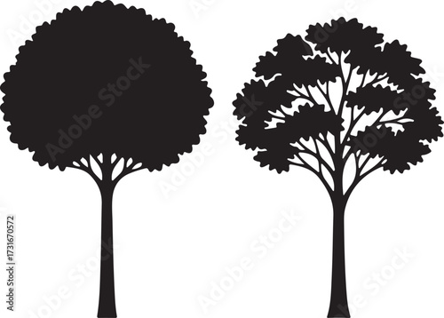 Tree Silhouettes: Elegant silhouettes of deciduous trees, demonstrating the exquisite detail of foliage and the sturdy framework of trunks and branches.
