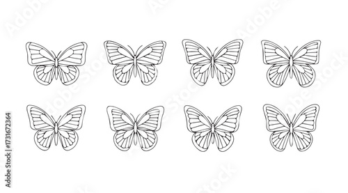 Collection of eight intricate butterfly outlines in a silhouette style