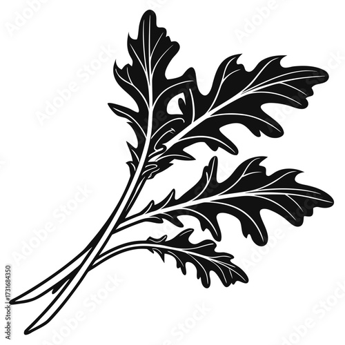 Elegant monochrome arugula leaves illustration