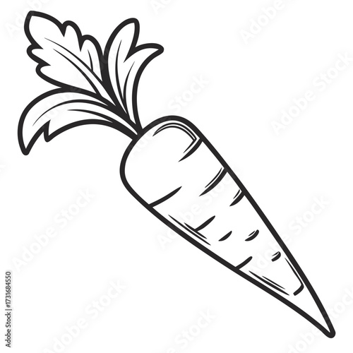 Illustration of a simple carrot