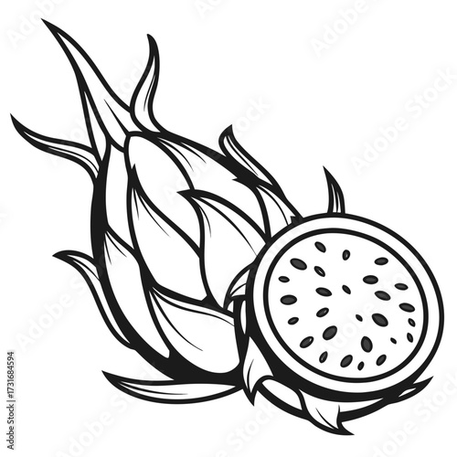 Dragon fruit artwork, half cut, black and white outline
