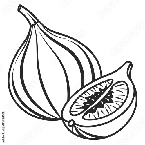 Line art of a ripe fig with a slice, revealing its interior
