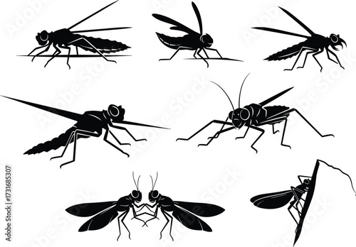  insect silhouette collection, mosquito, fly, bug, pest, entomology, biology, vector illustration, isolated, wings, legs, nature, science, disease, parasite, 