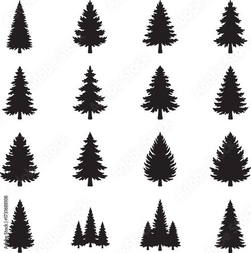 Evergreen Trees: A collection of elegant evergreen tree silhouettes, each exuding a sense of timeless beauty. These detailed representations capture the essence of the evergreen species