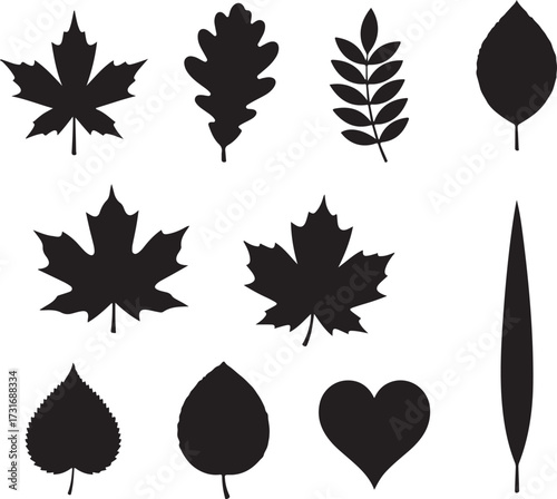 Leaf Silhouette Collection: A diverse assortment of leaf silhouettes in striking black, perfect for adding a touch of organic elegance to any design.