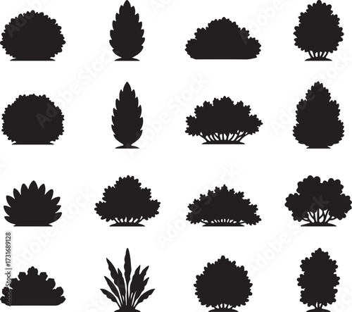 Evergreen silhouettes: An array of various elegant and minimalist evergreen trees, shrubs, and bushes silhouetted, illustrating a variety of botanical designs.