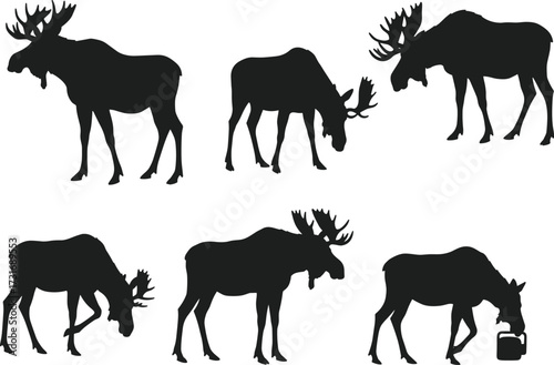 PrintMoose silhouette collection, wildlife animal poses, grazing and standing elk, forest nature illustration, antler mammal artwork, black vector design set
