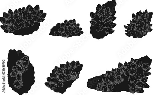 PrintMussel cluster silhouette, marine life illustration, shellfish on rocks, seafood pattern design, ocean ecology graphic, aquatic biology artwork, coastal environment study