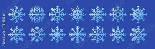 Snowflakes set. Snow flakes with geometric patterns, blue icy ornaments. Winter holiday decorations, ice crystals, cold frozen design elements for Christmas and New Year. Flat vector illustrations