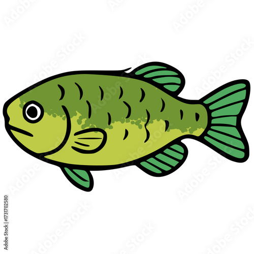 Green sunfish freshwater vector icon