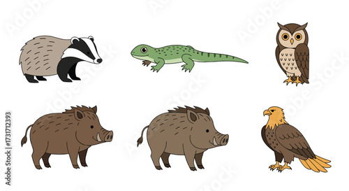 A collection of wild animals found in nature and forests.