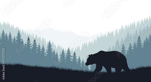 A solitary bear walks through a misty pine forest landscape.