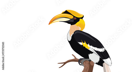 Great hornbill perched on a branch in profile view.