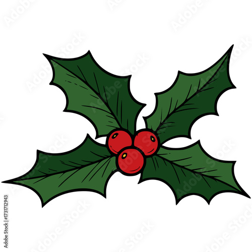Holly Leaves with Red Berries Christmas Decoration