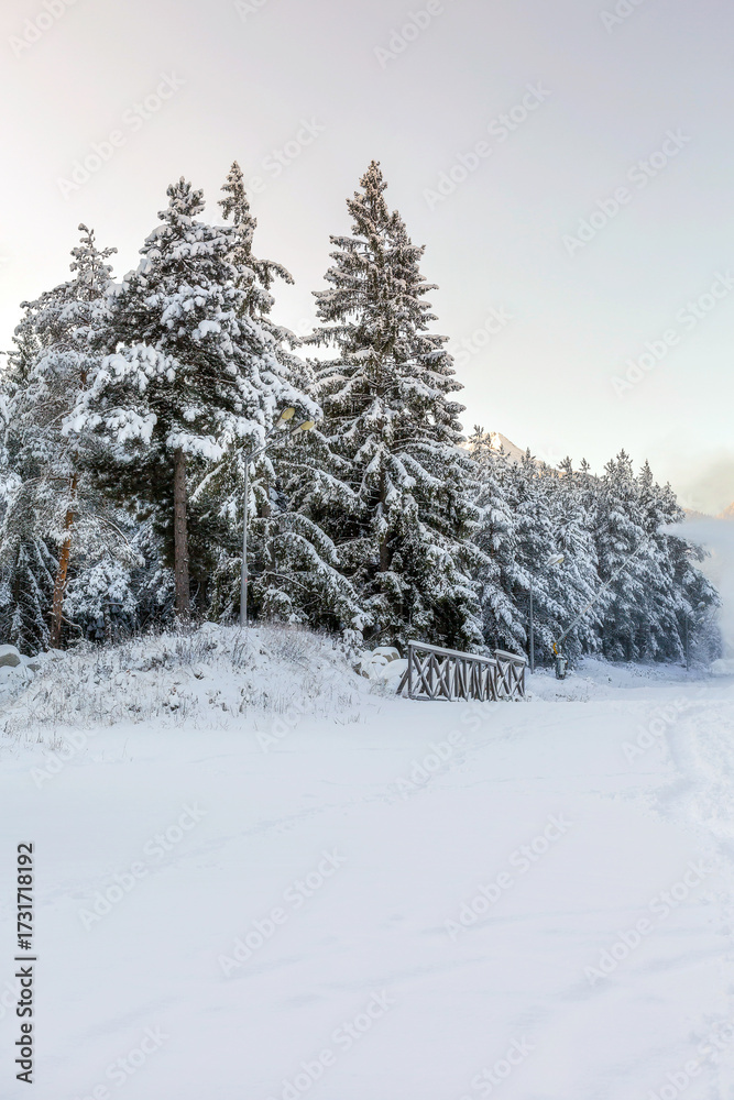 Fototapeta premium Bansko, Bulgaria resort panorama with snow cannon