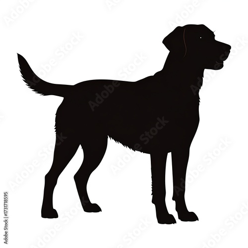 Black silhouette of a dog standing, facing right (1)