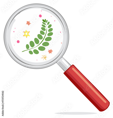 Magnifying Glass with Leaf and Star Symbols Exploring Nature Investigation Discovery Magnification Tool Research Science