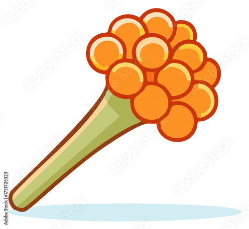 Bunch of bright orange spherical berries or roe clustered on a green stem stylized illustration