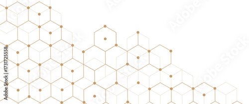 Vector digital geometric hexagonal science connection concept