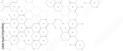 Vector digital geometric hexagonal science connection concept